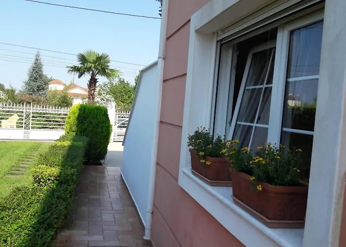 Luxurious Independent And Garden